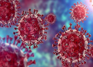 राज्यात आतापर्यंत ६३ लाख १७ हजार ७० रुग्ण कोरोनामुक्त