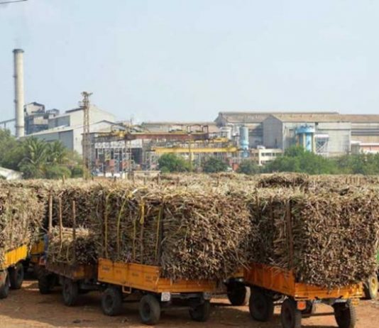 साखर आयुक्तांकडून राज्यातल्या २७ साखर कारखान्यांविरोधात आरआरसी आदेश