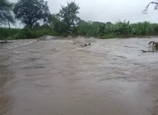 मराठवाड्यासह राज्याच्या विविध भागात पावसाचा कहर