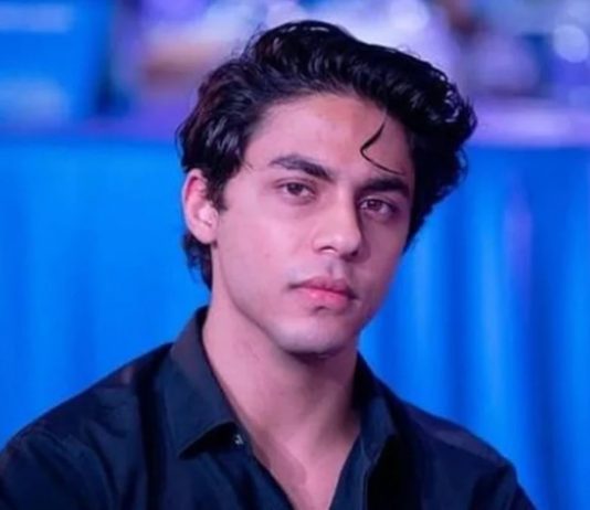 आर्यन खान याच्या जामीन अर्जावर येत्या बुधवारी सुनावणी होणार