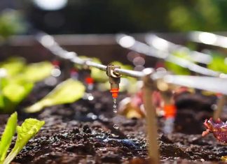 प्रधानमंत्री कृषी सिंचन योजनेअंर्तगत शेतकऱ्यांना १५ हजारांपर्यंत अतिरीक्त अनुदान मिळणार