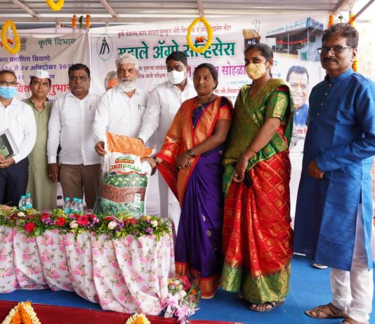 राज्यात २४ ऑक्टोंबरपर्यंत हरभरा प्रमाणित बियाणे वितरण सप्ताहाचे आयोजन