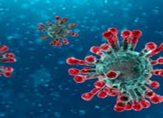 देशात कोविड १९ चे रुग्ण बरे होण्याचा दर ९८ पूर्णांक १९ शतांश टक्के