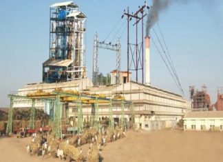 साखर कारखान्यांना प्राप्तीकर माफ करण्याची अधिसूचना जारी