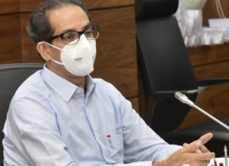 वृक्षलागवडीसाठी लँडबँक तयार करावी – मुख्यमंत्री