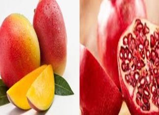 भारतीय फळांना अमेरिकेच्या बाजारात प्रवेश