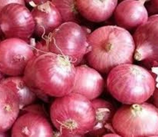 नाशिक जिल्ह्यातल्या प्रमुख बाजारपेठेत कांद्याच्या भावात मोठी घसरण