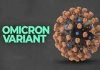 राज्यात ओमायक्रॉनचे काल आणखी ६ रुग्ण आढळले