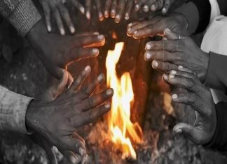 राज्यात थंडीच्या कडाक्यात वाढ