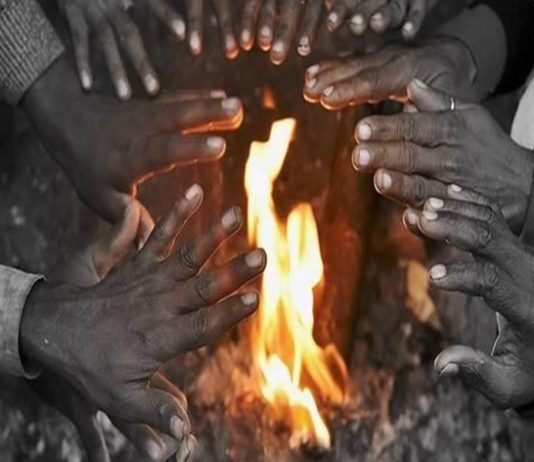 राज्यात थंडीच्या कडाक्यात वाढ