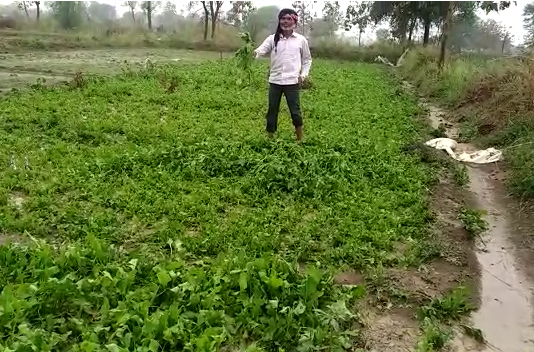 विदर्भात काल अनेक ठिकाणी अवकाळी पाऊस आणि गारपीट, रब्बी पिकांचं नुकसान