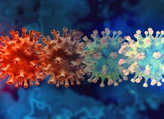 महाराष्ट्रात काल ओमायक्रॉनची बाधा झालेल्या ८५ रुग्णांची नोंद