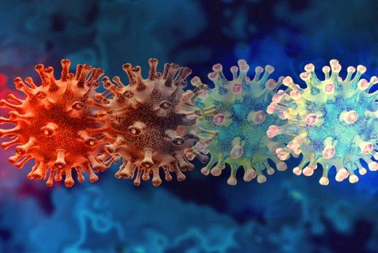 महाराष्ट्रात काल ओमायक्रॉनची बाधा झालेल्या ८५ रुग्णांची नोंद