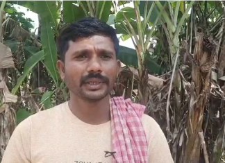 युवा शेतकरी पुरस्कारासाठी चंद्रपूर जिल्ह्यातल्या प्रशांत मेश्राम यांची निवड