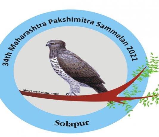 महाराष्ट्र राज्यस्तरीय पक्षिमित्र संमेलन येत्या ७ तारखेला सोलापुरमध्ये