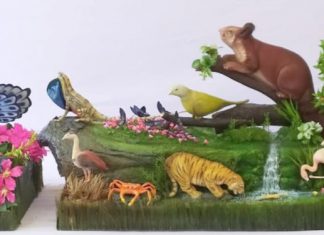 प्रजासत्ताक दिन सोहळ्यात महाराष्ट्राच्या चित्ररथाला परवानगी नाकारलेली नाही – सांस्कृतिक कार्य संचालनालयाचे स्पष्टीकरण