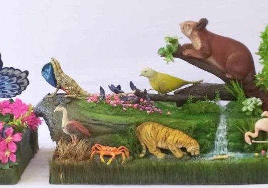 प्रजासत्ताक दिन सोहळ्यात महाराष्ट्राच्या चित्ररथाला परवानगी नाकारलेली नाही – सांस्कृतिक कार्य संचालनालयाचे स्पष्टीकरण