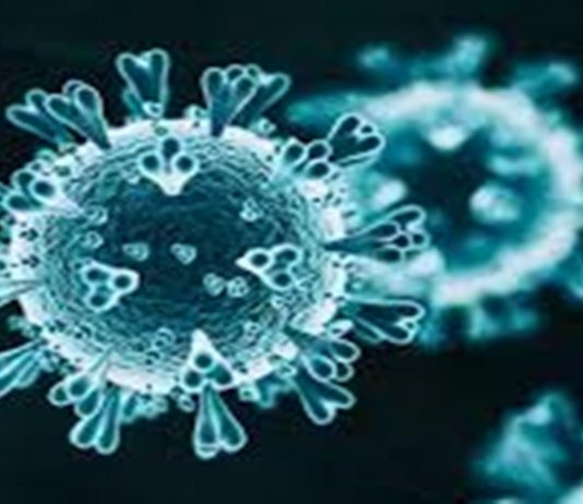 देशात काल 82 हजार रुग्ण कोरोना मुक्त