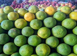 ‘सिट्रस इस्टेट’ या योजनेच्या अंमलबजावणीकरता १३ कोटी ५ लाख रुपयांच्या खर्चाला प्रशासकीय मान्यता