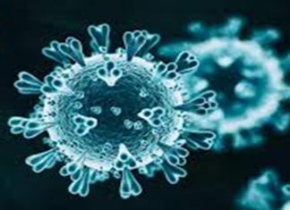 अमेरिकेत कोविड-19 मुळे मृत्यु पावलेल्यांची संख्या 9 लाखांवर