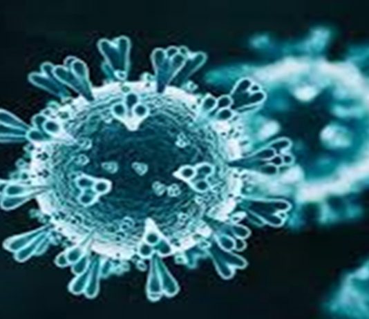 अमेरिकेत कोविड-19 मुळे मृत्यु पावलेल्यांची संख्या 9 लाखांवर