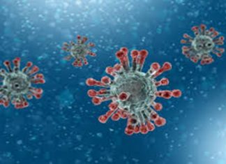 जपानमध्ये एकाच दिवशी एक लाखांहून अधिक नव्या कोरोना रुग्णांची नोंद