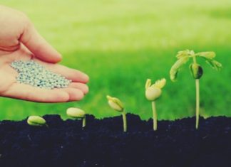 रशिया-युक्रेन युद्धाचा परिणाम खतं व्यवसायावर पडण्याची शक्यत्ता