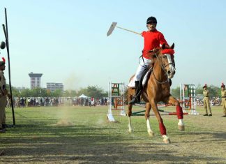 नागपूरात पहिल्यांदाच एरोमॉडेलिंग शोचे आयोजन