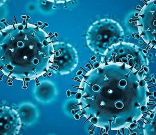 राज्यात काल नव्यानं आढळलेल्या कोविड रुग्णांची संख्या ५० पेक्षा कमी