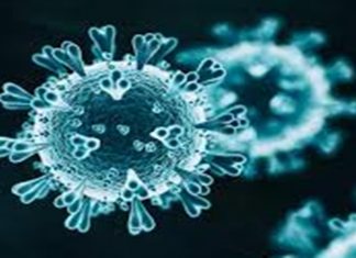 राज्यात मंगळवारी १३७ नवे कोरोनाबाधित रुग्ण