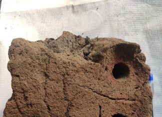 चंद्रपूरात आढळला ८०० वर्षापूर्वीचा परमार काळातील प्राचीन लोहखनिज कारखाना