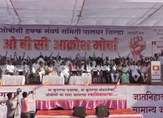 ओबीसी आरक्षणप्रश्नी प्रधानमंत्री आणि केंद्रीय गृहमंत्र्यांना हस्तक्षेपाची विनंती करणार, कपिल पाटील यांचं आश्वासन