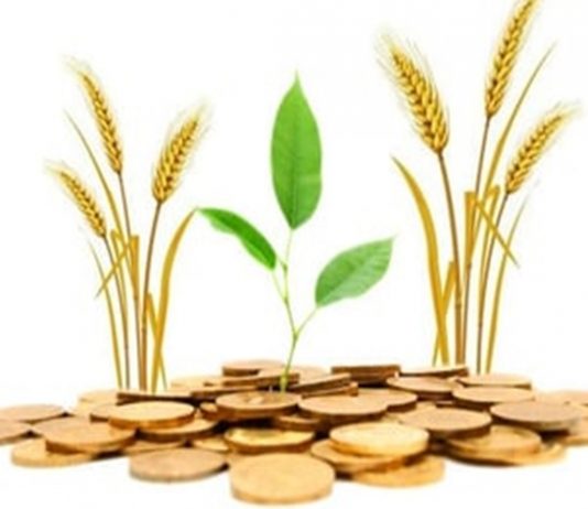 पुणे जिल्ह्यात उद्दिष्टापेक्षा जास्त पीक कर्जाचं वाटप