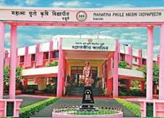 राहुरीच्या महात्मा फुले कृषी विद्यापीठाचा बीजोत्पादन प्रकल्प देशात अव्वल