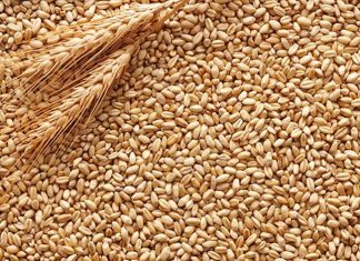 गव्हाचे दर वाढले असले तरी देशातली सार्वजनिक वितरण व्यवस्था सुरळीतपणे सुरु राहण्याची केंद्रसरकारची ग्वाही