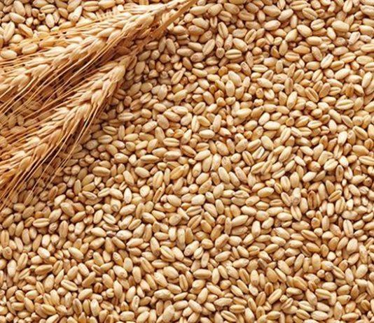 गव्हाचे दर वाढले असले तरी देशातली सार्वजनिक वितरण व्यवस्था सुरळीतपणे सुरु राहण्याची केंद्रसरकारची ग्वाही