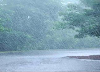 मान्सून २४ तासात अंदमानात दाखल होण्याची शक्यता हवामान विभागाकडून व्यक्त