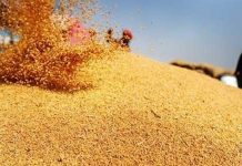देशात अन्नधान्याच्या साठ्याबाबत अतिरिक्त उपलब्धतेसह सुस्थिती