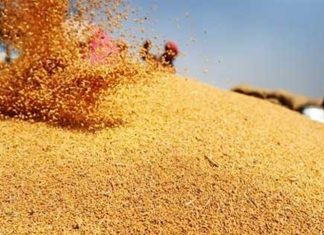 देशात अन्नधान्याच्या साठ्याबाबत अतिरिक्त उपलब्धतेसह सुस्थिती