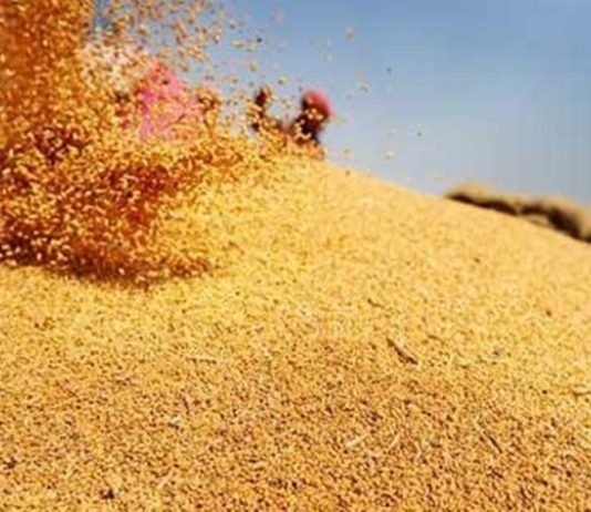 देशात अन्नधान्याच्या साठ्याबाबत अतिरिक्त उपलब्धतेसह सुस्थिती