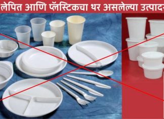 प्लास्टिकचा थर असलेल्या उत्पादनांवर राज्यात बंदी