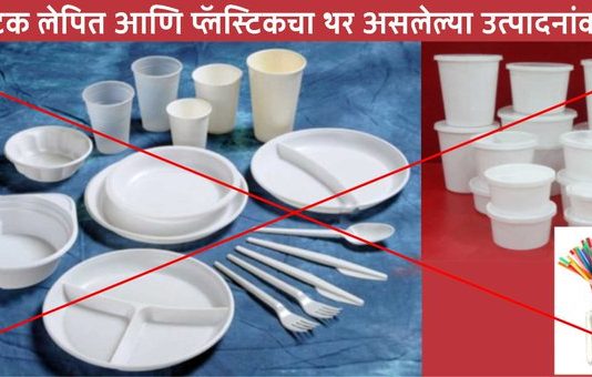 प्लास्टिकचा थर असलेल्या उत्पादनांवर राज्यात बंदी