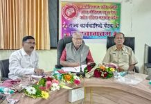 छोट्या व मध्यमवर्ग वृत्तपत्रांना शासनाने सरसकट 100% जाहिरात दर वाढ द्यावी – प्रदीप कुलकर्णी