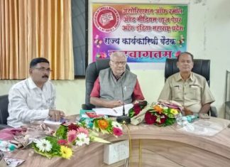 छोट्या व मध्यमवर्ग वृत्तपत्रांना शासनाने सरसकट 100% जाहिरात दर वाढ द्यावी – प्रदीप कुलकर्णी