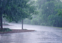 कोल्हापूरात १५ जुलैपर्यंत अतिवृष्टीचा हवामान विभागाचा अंदाज