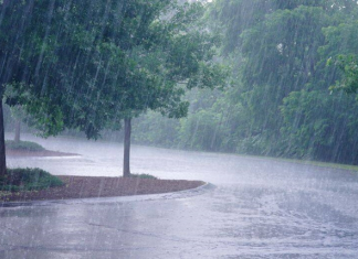 कोल्हापूरात १५ जुलैपर्यंत अतिवृष्टीचा हवामान विभागाचा अंदाज