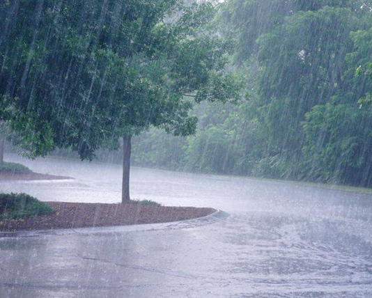 कोल्हापूरात १५ जुलैपर्यंत अतिवृष्टीचा हवामान विभागाचा अंदाज