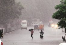 मुंबईसह राज्यभरात पावसाची संततधार सुरू, धरणांच्या जलसाठ्यात लक्षणीय वाढ