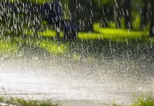 महाराष्ट्र, तेलंगणा आणि आंध्रप्रदेशात सर्वत्र दमदार पाऊस