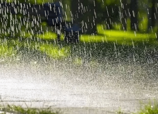 महाराष्ट्र, तेलंगणा आणि आंध्रप्रदेशात सर्वत्र दमदार पाऊस